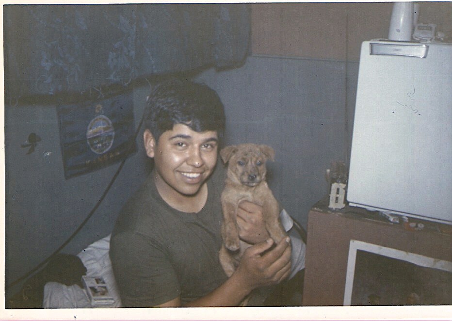 Picture